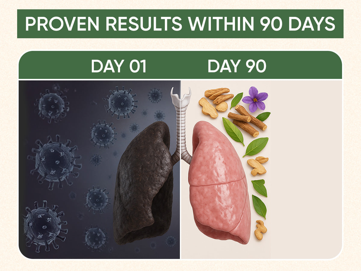 Lungs Detox Herbal Tea - 30 Tea Bags